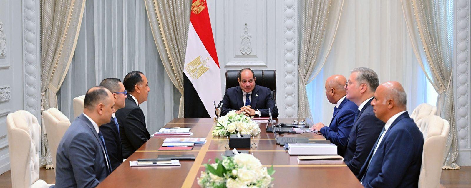 El-Sisi reviews latest developments on petrochemical, mining projects